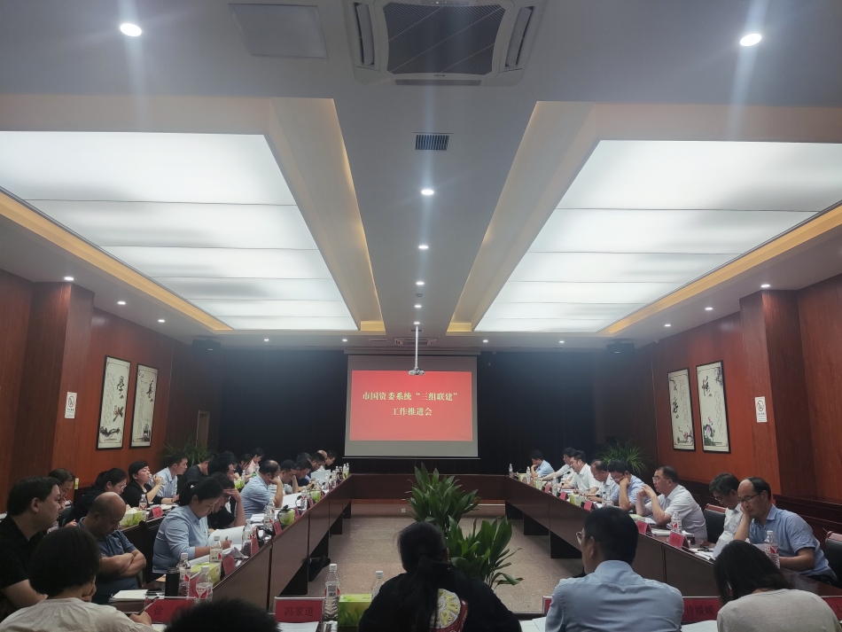 2024年7月17日，市國資委系統(tǒng)在公司開展“三組聯(lián)建”現(xiàn)場觀摩（推進(jìn)會）_副本